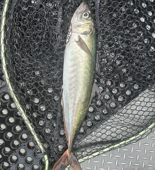 Partly cloudy skies set the stage for an epic fishing adventure in OR!