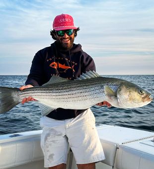 Fly lines and striped bass—Rhode Island style.