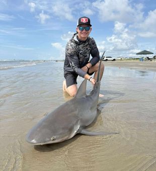 Sharks cruising the Texas coast today
