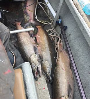 Ready to test your skills against powerful salmon and hard-fighting trout? Head to Pulaski, NY, and turn your next fishing trip into a story worth telling.