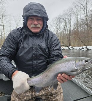 Beautiful Ellisburg NY coho salmon caught today!