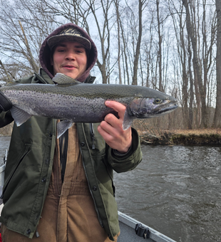 Beautiful Coho Salmon from the Salmon River!