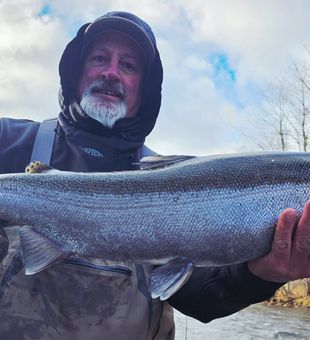Beautiful Coho salmon from Ellisburg NY waters!