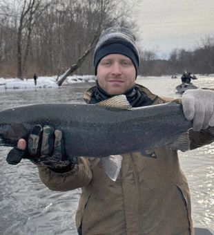 Beautiful Coho salmon from Ellisburg NY waters!