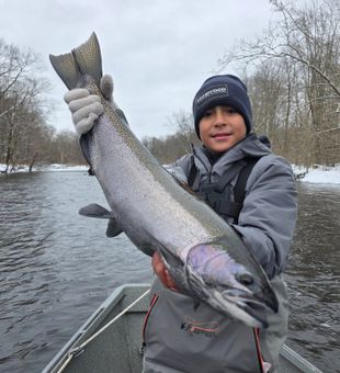 Beautiful Ellisburg NY coho salmon from winter fishing adventure!