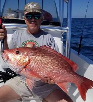 Red Snapper in Orange Beach