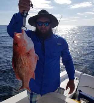 Culinary Magic: Red Snapper Feasts