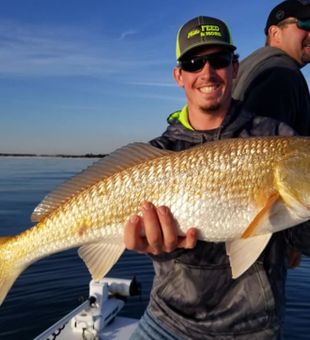 Redfish in Orange Beach