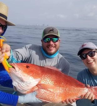 Red Snapper in Orange Beach