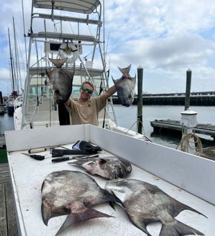 Spadefish Haul! - Norfolk, VA.