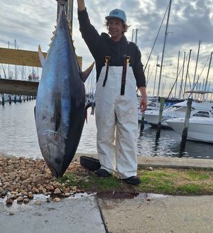 A solid Tuna run today - Norfolk, VA.