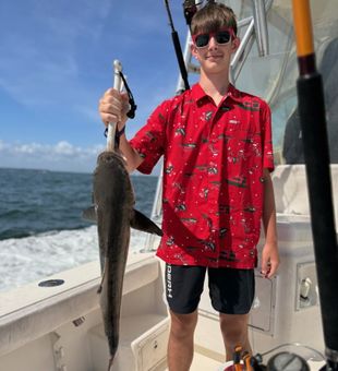 Solid cobia catch offshore trip