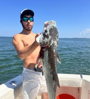 Cobia Day! - Norfolk, VA.