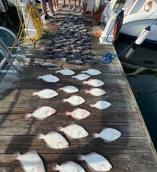 Ready to bend the rod? Book an inshore fishing trip in Norfolk, VA and experience some of Virginia's most exciting light tackle fishing close to shore.