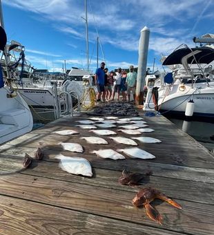 Norfolk, VA inshore fishing delivers fast action, scenic waters, and family-friendly adventures perfect for anglers of every skill level.