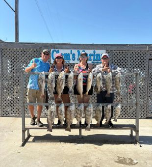 Outstanding black drum action in Corpus Christi!