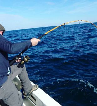 Inshore Fishing in Atlantic Ocean