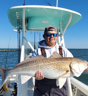 Red Drum in Northern Charleston