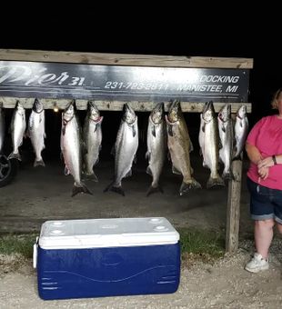 Bring the family for a day on Lake Michigan.