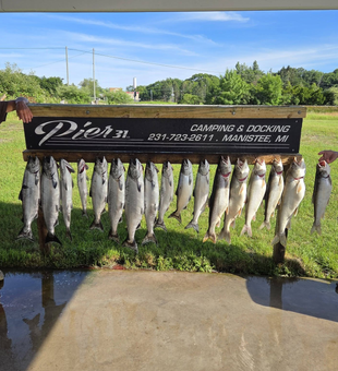 Outstanding Chinook salmon and lake trout charter in Manistee!