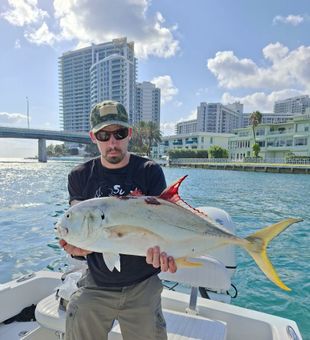 Impressive Jack Crevalle