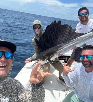 Got a Sailfish in Miami Beach 