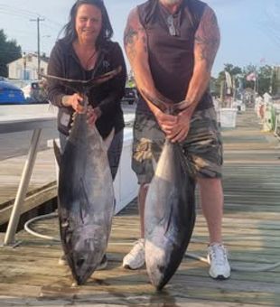 Bluefin fishing has continued to be good with quality fish some unders and a lot of overs.