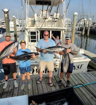 Exciting tuna haul at the marina – offshore fishing success!
