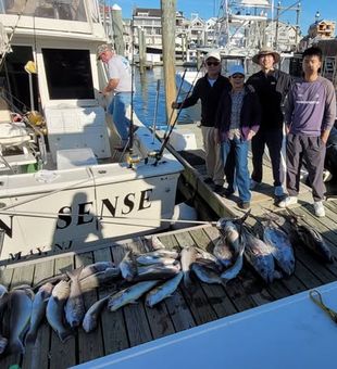 Experience the excitement of inshore fishing in Cape May, NJ, where striped bass, flounder, and bluefish provide nonstop action along the Jersey coast.