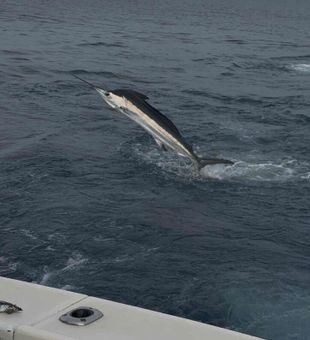 Cape May fishing vibes = perfect day.