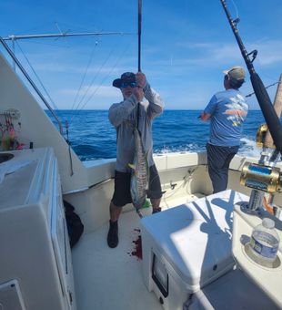 Yellowfin action offshore – exciting catch on the deck!