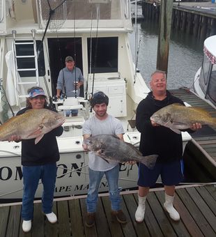 Big fish days on Jersey coast