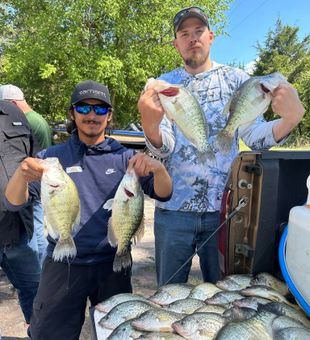 Northeast Texas Trophy Crappie Catch