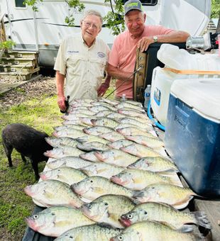 Crappie Fishing Success in East Texas