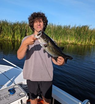 Impressive bass haul!