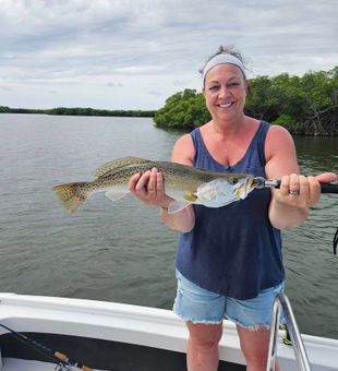 Sweet speckled trout catch!