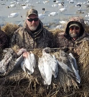 Michigan duck blind
