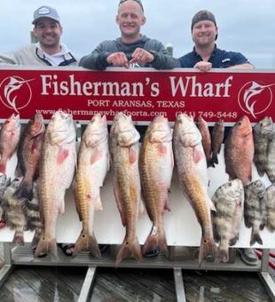 Impressive Redfish haul in Port Aransas!