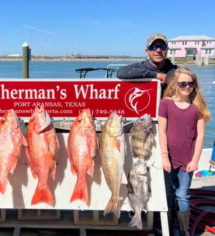 Vibrant Red Snapper haul!
