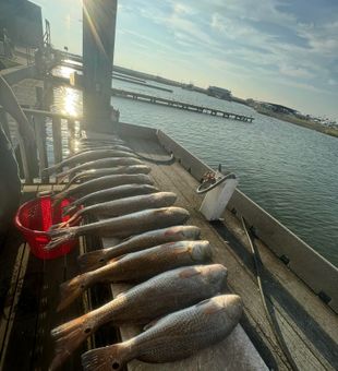 Skinny water Reds! 