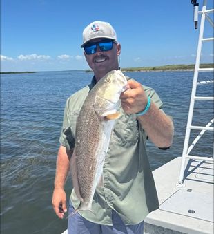 Red FIsh are here - Rockport, TX.