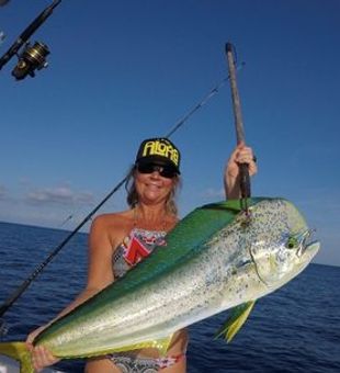 Florida Fishing Fun Awaits You, Mahi mahi trip