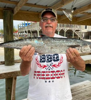 King mackerel fishing in Orange Beach