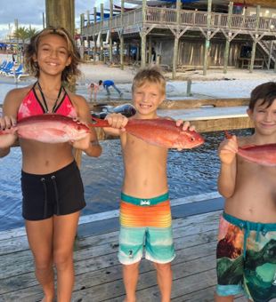Kid-Friendly Orange Beach fishing charters