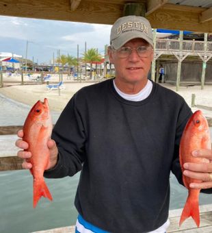 Fishing charters Orange Beach, Alabama	
