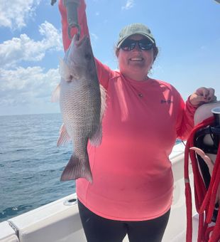 Snapper in Gulf of Mexico