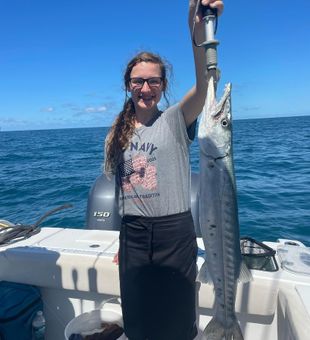 Barracuda in Gulf of Mexico