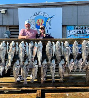 Limited out at Corpus Christi, TX!