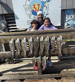 Black Drum bonanza! Ten beauties blasted today in Corpus Christi!