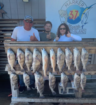 Outstanding black drum and redfish haul in Corpus Christi!